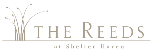 The Reeds at Shelter Haven